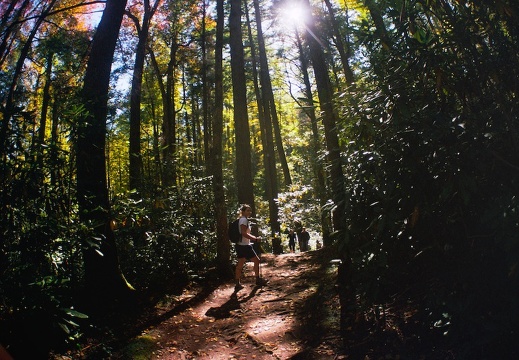 Great Smoky Mountains in the Fall